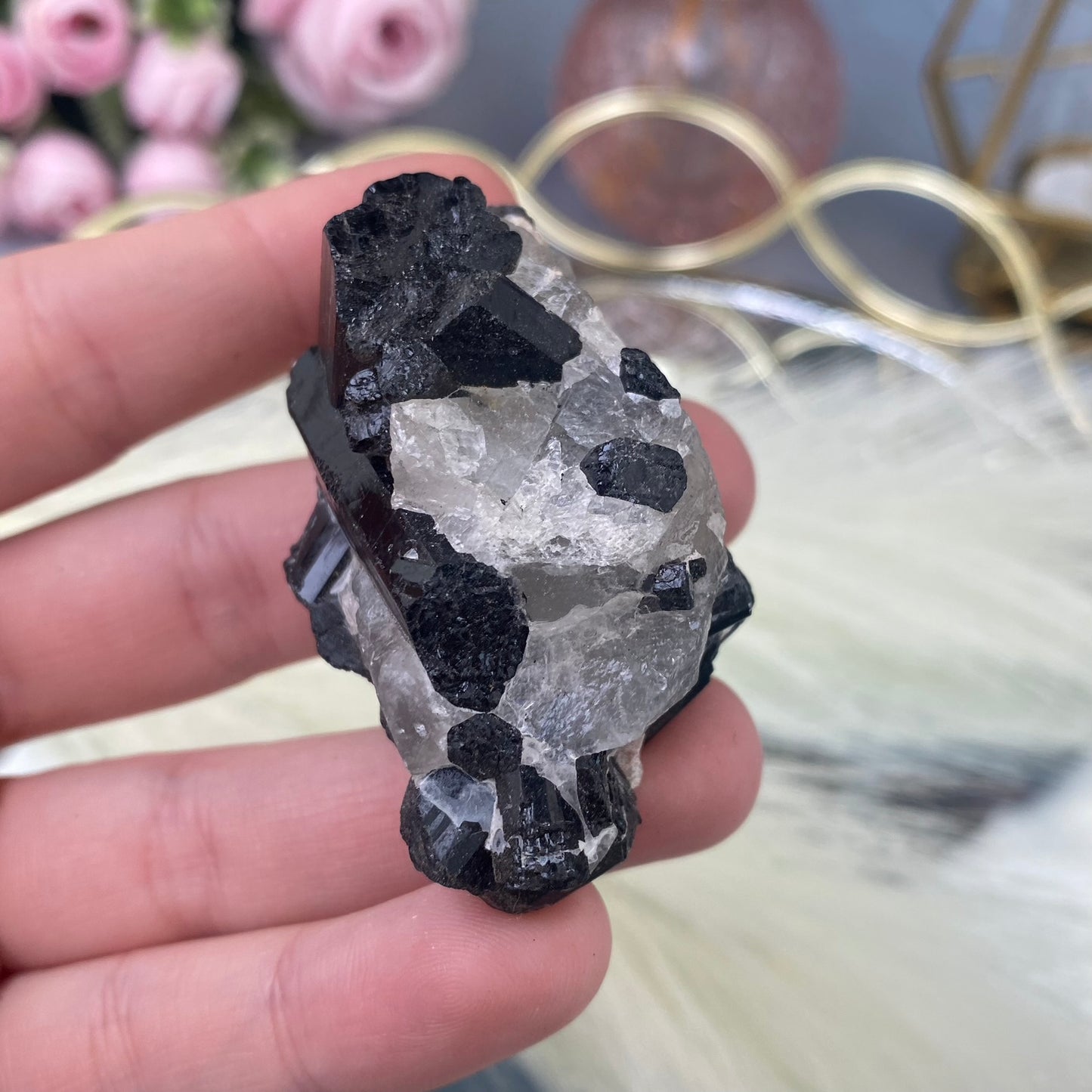 Black Tourmaline in Quartz