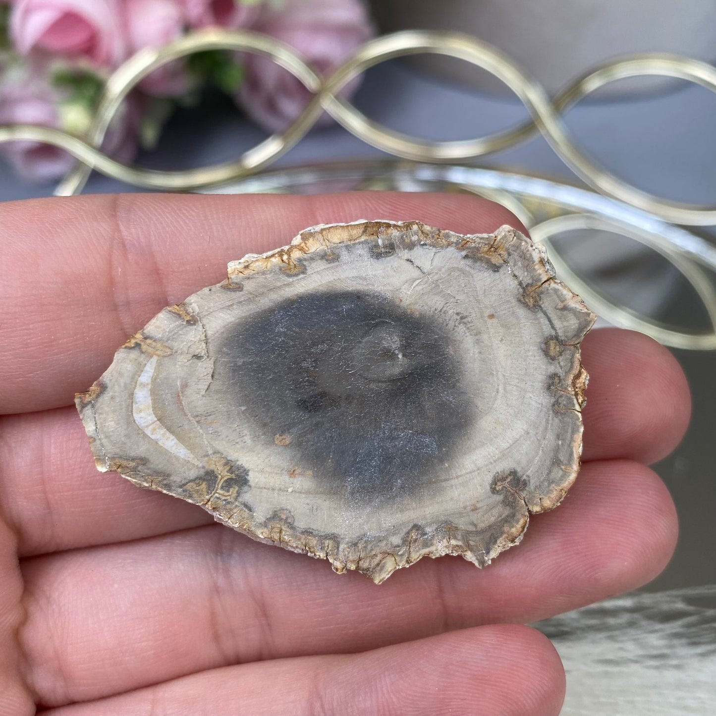 Petrified Wood